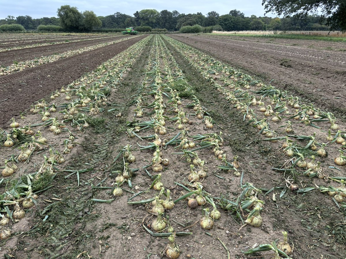 chennellsfarms tweet picture