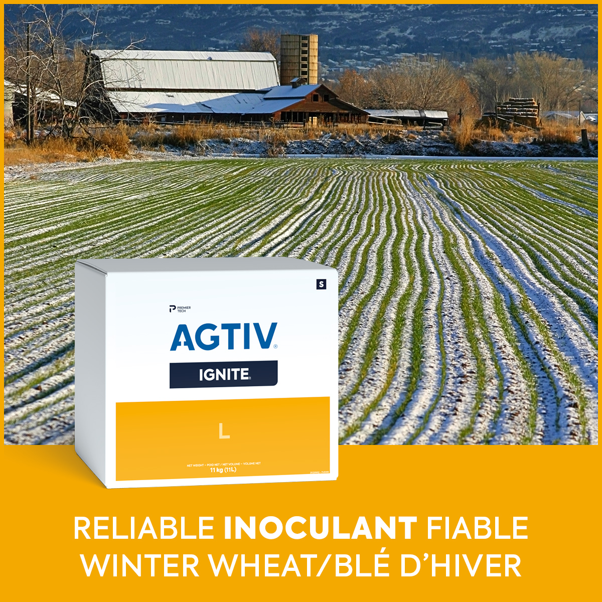 🌾Change the way you grow your winter wheat, canola, and cereals with AGTIV® IGNITE™!
🔗bit.ly/3XfVAaV
 
🌾Changez comment vous cultivez votre blé d'hiver,  canola et céréales avec #AGTIV #IGNITE!
🔗bit.ly/3TgiY73

#winterwheat #wheat #cdnag #westcdnag #ontag