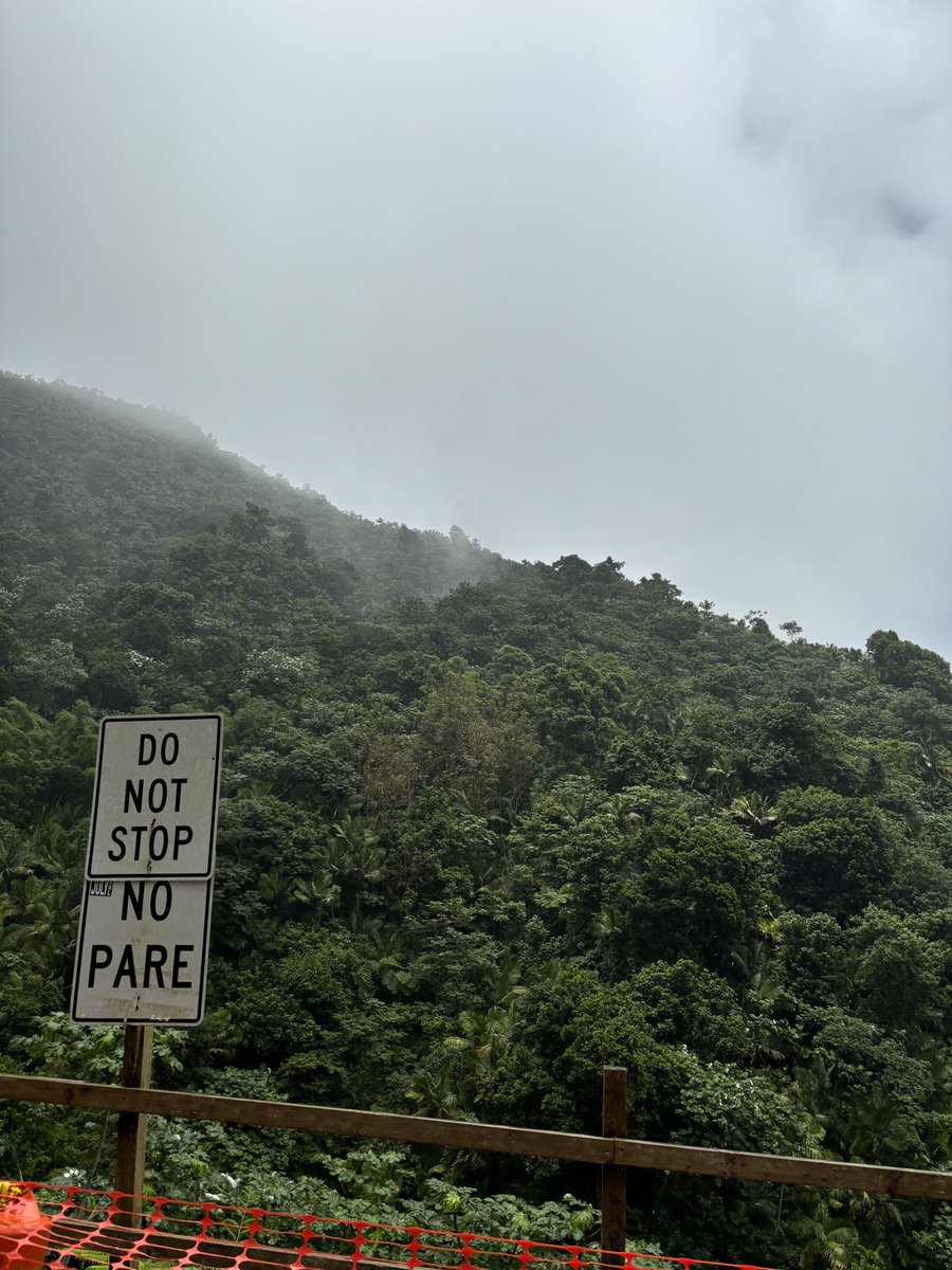 RyanBu8's tweet photo. Puerto Rico was a dream 😩 🤩 https://t.co/CSSi2Yhelx