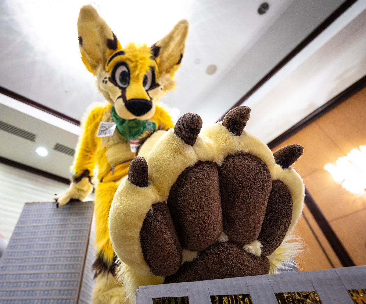 kepfox's tweet image. Happy #steptember 🐾