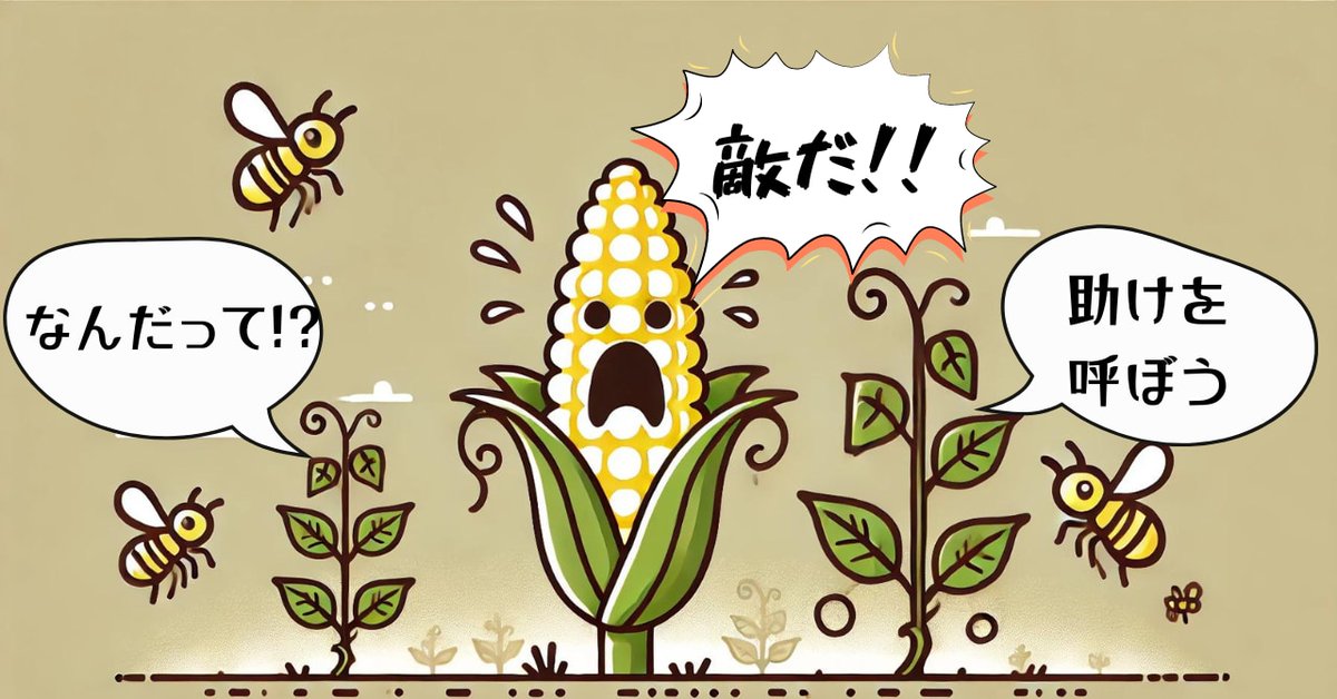 NazologyInfo's tweet photo. トウモロコシが悲鳴を上げると豆が害虫駆除の昆虫軍団を呼ぶ
https://t.co/GJPOaoqT1V

スイス、ヌーシャテル大学は同じ畑にトウモロコシと豆を植えた際、害虫が減る理由を調査。すると害虫に襲われたトウモロコシの悲鳴を、豆が聞いていて、自分たちを守る昆虫の兵士を集めていることを発見しました。 https://t.co/yRglPQhDAc