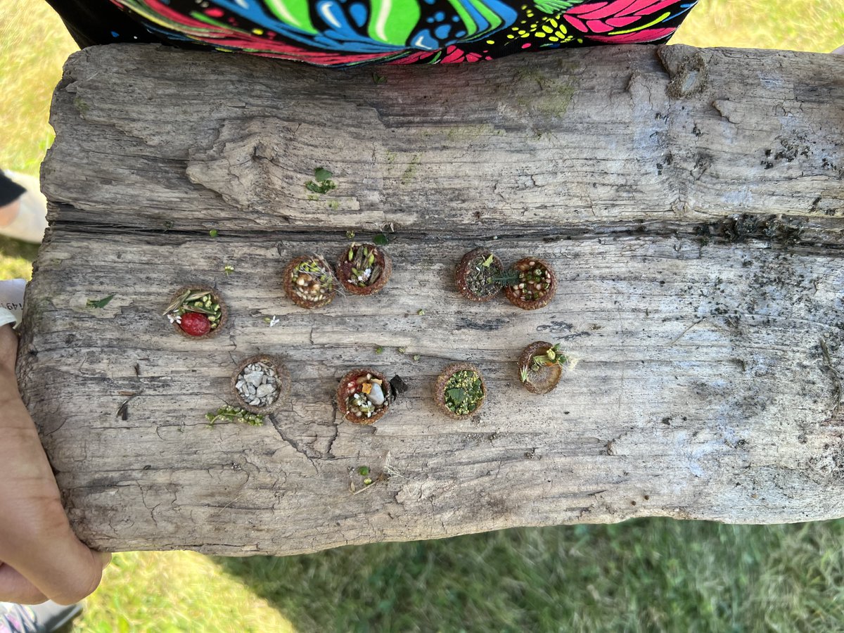 It's a beautiful day at RRMPS and we are all enjoying our recess and outdoor times today.  Some very creative students made some beautiful acorn creations today.