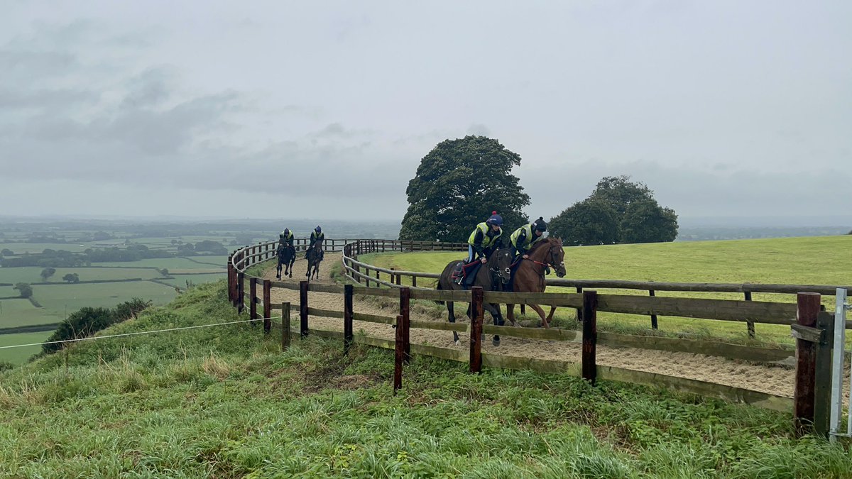 Paul Ferguson tweet media