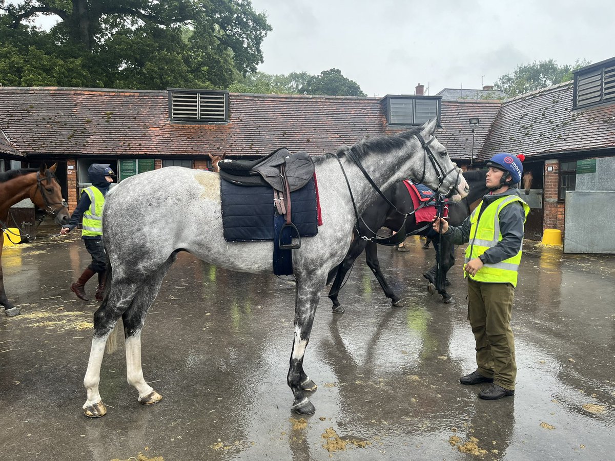 Paul Ferguson tweet media