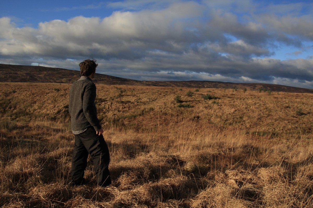 Animal Rising Press tweet media