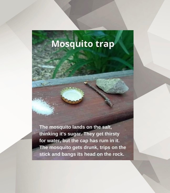 CHIproducts's tweet image. Since you have not purchased a Retractable Screen or Motorized Power Screen for your Patio yet...you can always try this for the insane Mosquitos this year in Southern California?! 😅🦟

#MosquitoSeason #ScreenSolutions #CaliforniaLiving #HomeImprovement  #MosquitoControl