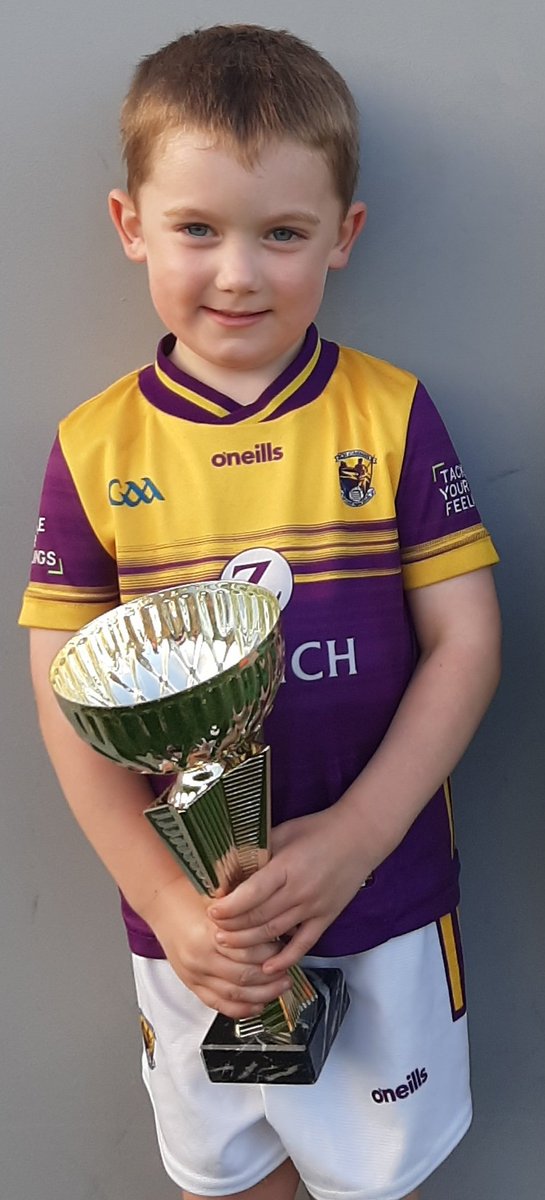 There's a time for work and a time for play! Out fencing new <a href="/Germinal_Ire/">Germinal Ireland</a> reseed...checking pedigree <a href="/IParthenaise/">Irish Parthenaise</a> heifer, sand castles on <a href="/Curracloe2/">Curracloe_Strand</a> beach and player of the week at nursery training <a href="/LadysIslandgaa/">Our Ladys Island GAA Club</a>!