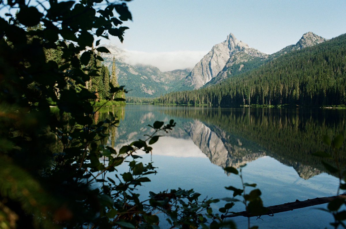 forestoutside's tweet image. A spot for it! 🎞️