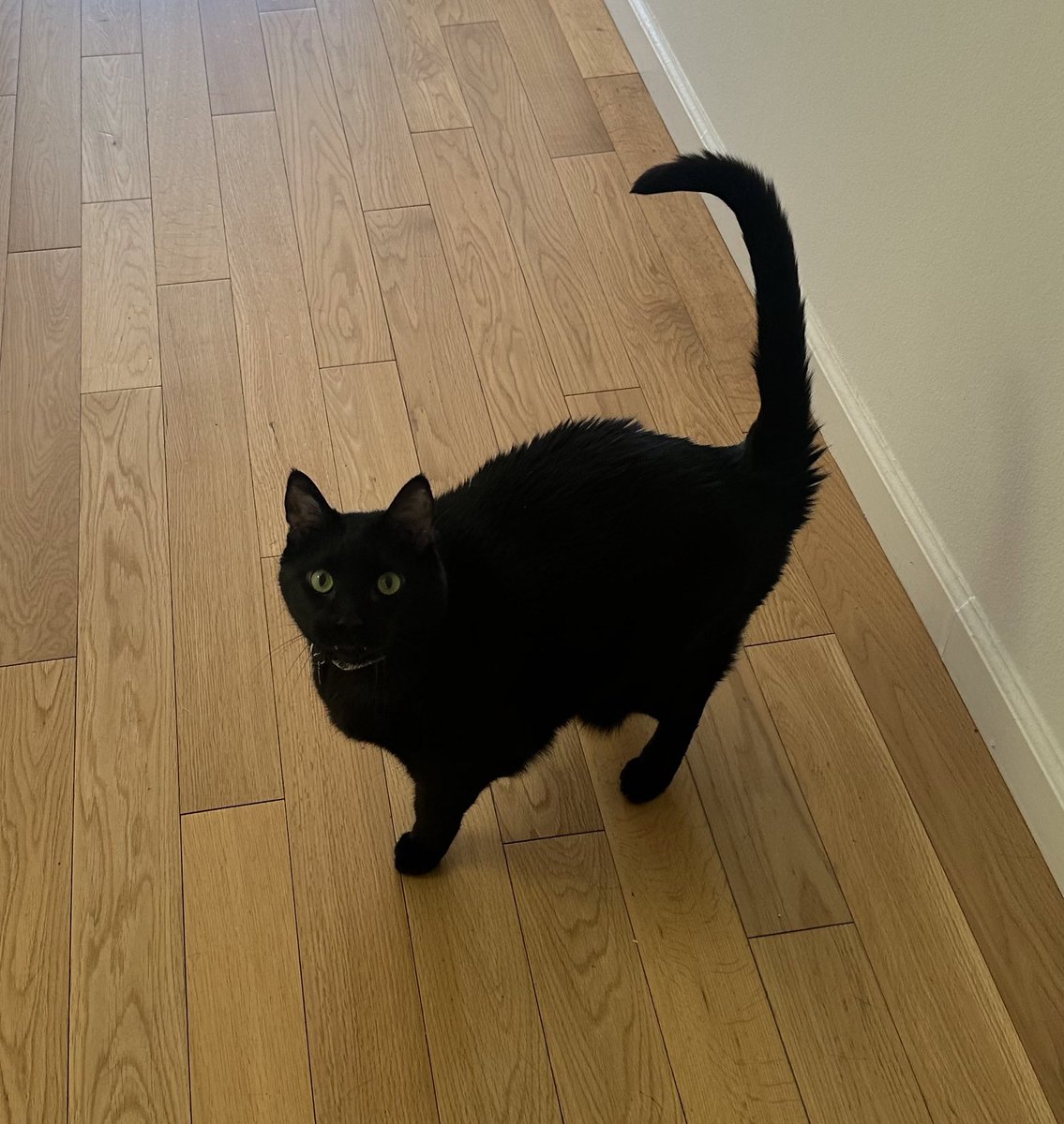 robertoupdates's tweet image. “he’s so fat” “weird shaped” “chunkers” what makes you think his body is ripe for the pickings of your cruel discourse … he is roberto and he is free