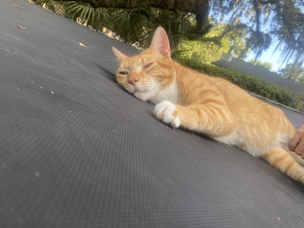 SatansBra's tweet photo. Tripod baby https://t.co/0leDNdgR0k