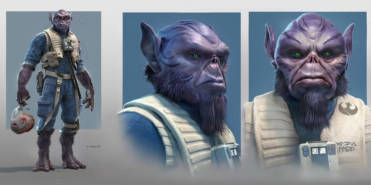 New Republic Updates 🕊️ tweet media