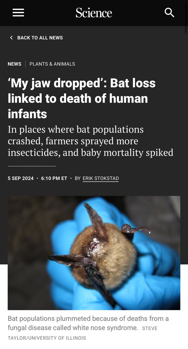 Woah! New research shows how vital biodiversity is to thriving humanity: In US counties where bats declined from white-nose syndrome, insect numbers surged, leading to a 31% rise in pesticide use and subsequently *an 8% increase in infant mortality*! #Biodiversity #Conservation