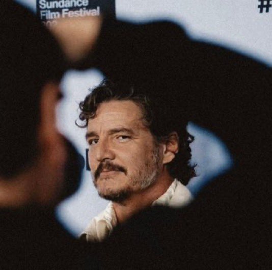 B 🪡 🐝 tweet media