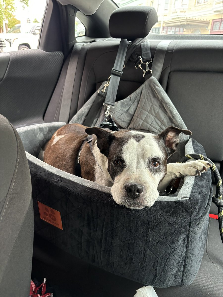 Irene 👹 tweet media