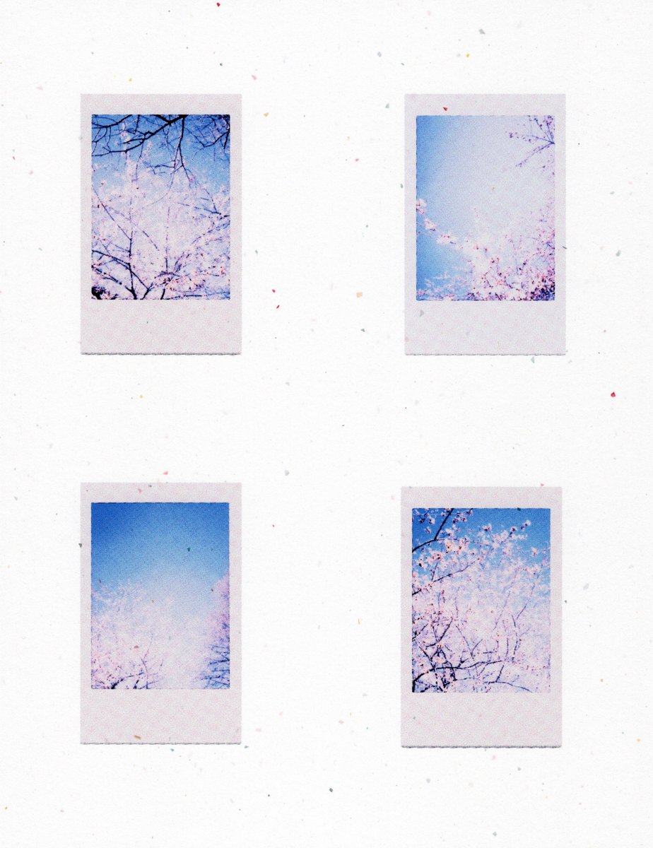 thinkbulecount2's tweet image. Contact sheet ✨