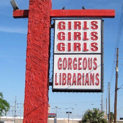 equine__dentist's tweet image. girls girls girls gorgeous librarians