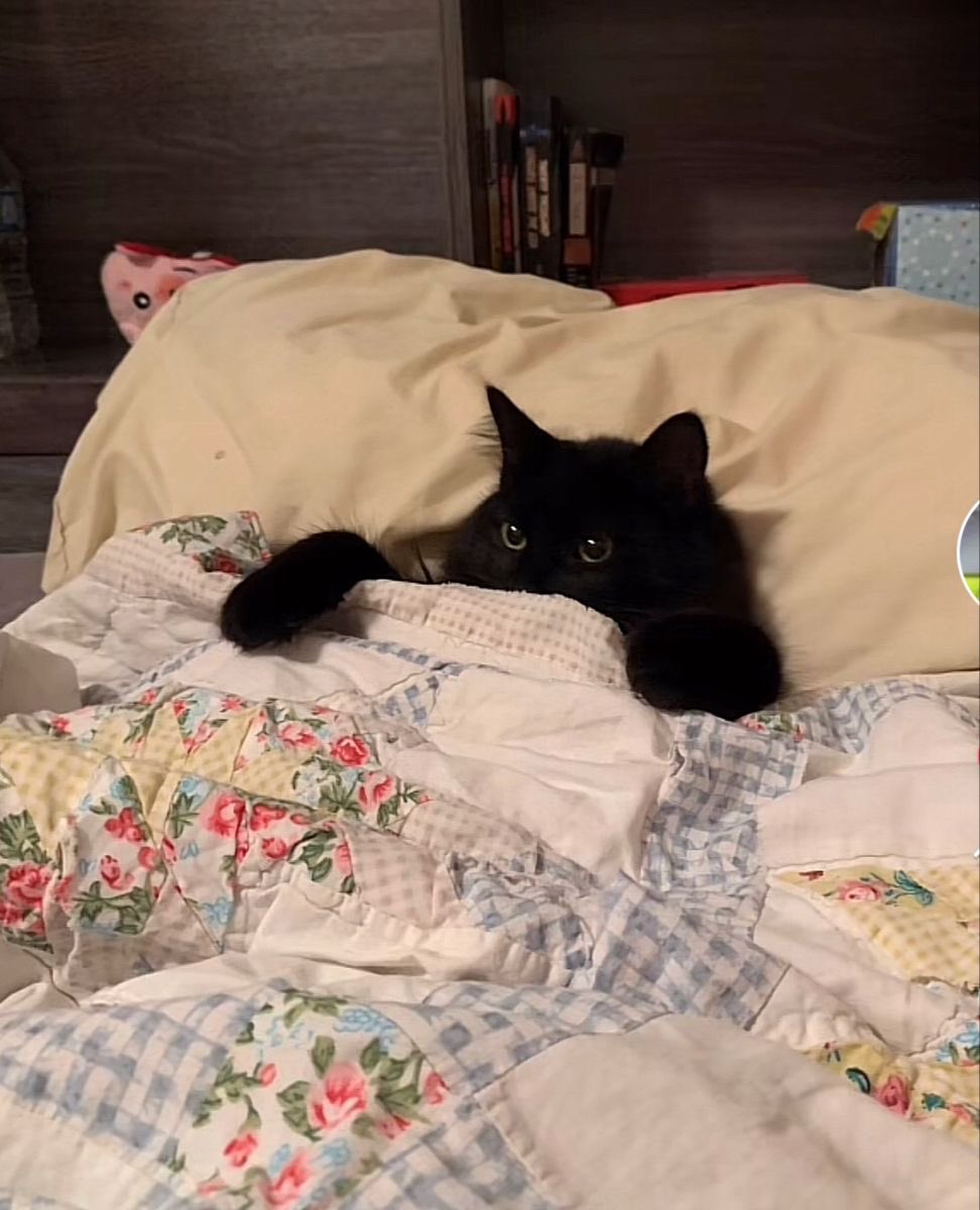 he wants a bedtime story 😭