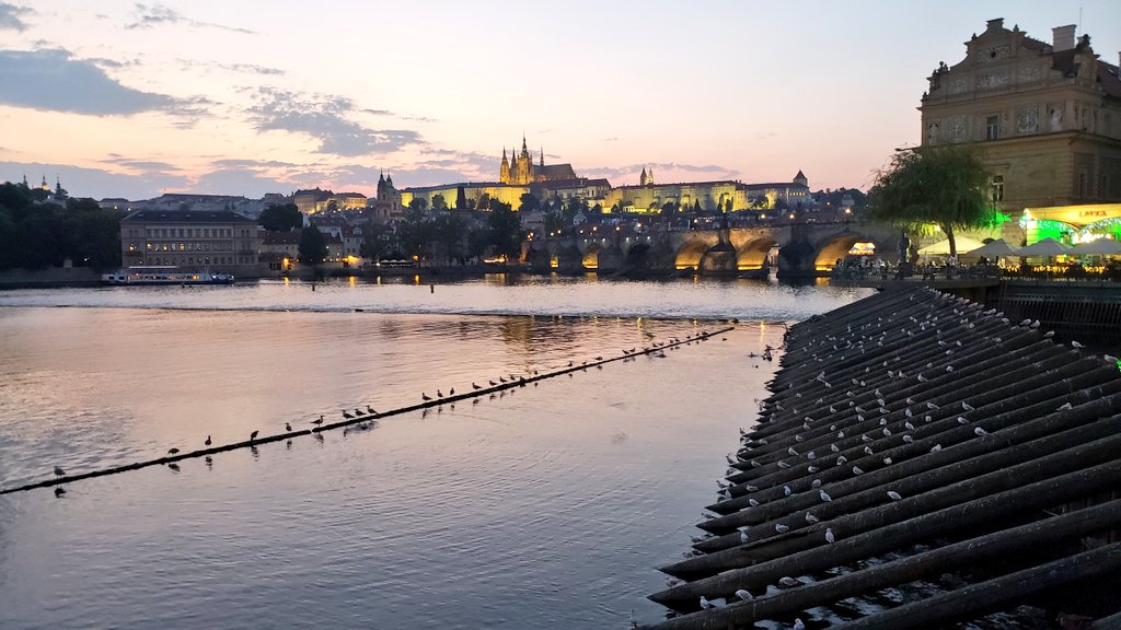 Ed Mariano, MD, MAS, FASA, FASRA tweet media