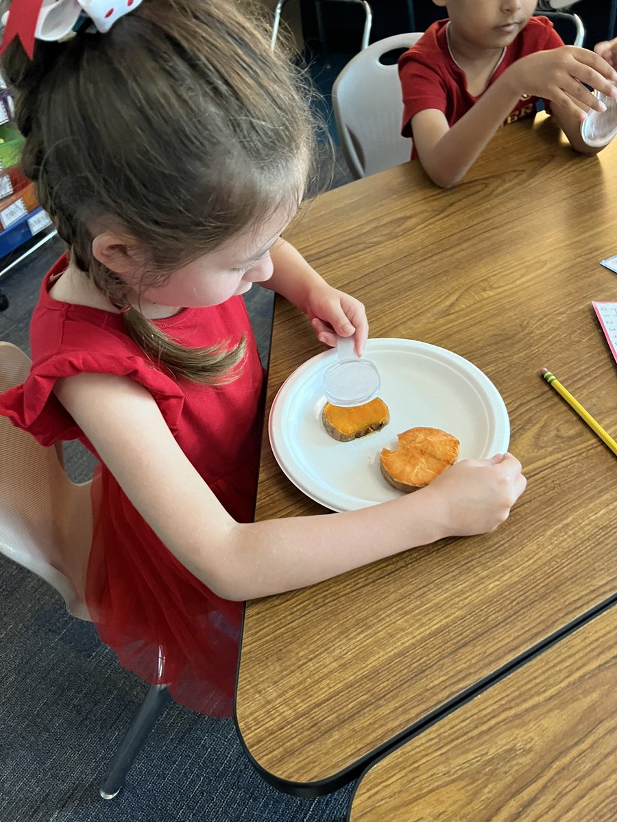MsCrowKinder's tweet photo. One Potato, Two Potato! We investigated the differences between a cooked and uncooked sweet potato using our 5 senses #bengalpride https://t.co/MlxIPIawjw
