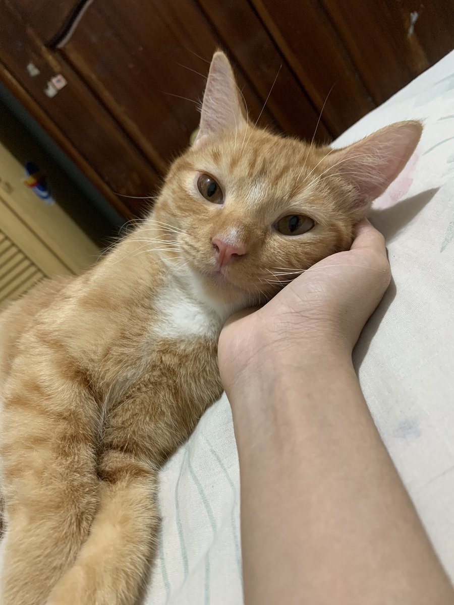 Kamu scroll timeline pasti gak bisa tidur kan?! Nih ak pap lelaki tampan biar km tidur nyenyak 😚