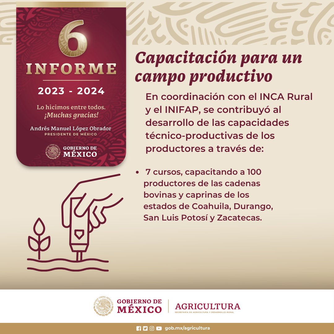 Agricultura_mex's tweet photo. #6Informe | A través de esta colaboración, se busca mejorar las habilidades de los productores, contribuyendo a una mayor productividad y sostenibilidad.
¡Gracias por formar parte!
Más detalles: https://t.co/g3WWJ2d6WR
#LoHicimosEntreTodos https://t.co/EfR1BdFw9M
