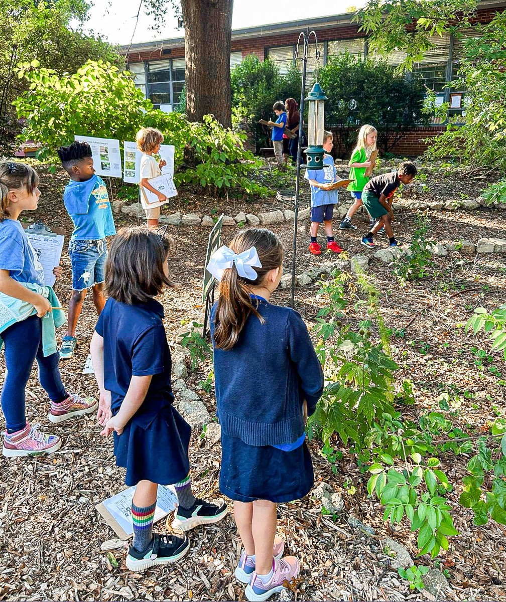 ICS Georgia tweet media