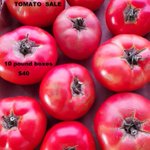 Photo by Ghost Island Farm (@mvcsa)
