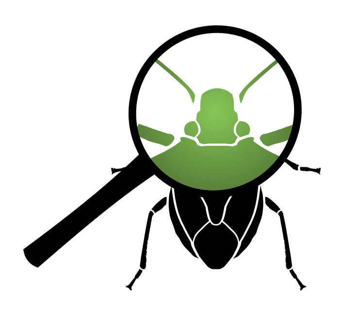 EntSocBC's tweet image. Registration and abstract submission for the 2024 ESBC conference and annual general meeting  (Oct 4-5, UBC) are now open. The theme is “Through the Looking Glass: BC Entomology and Beyond”. Check our meeting page for full details and to register (entsocbc.ca/meetings/).