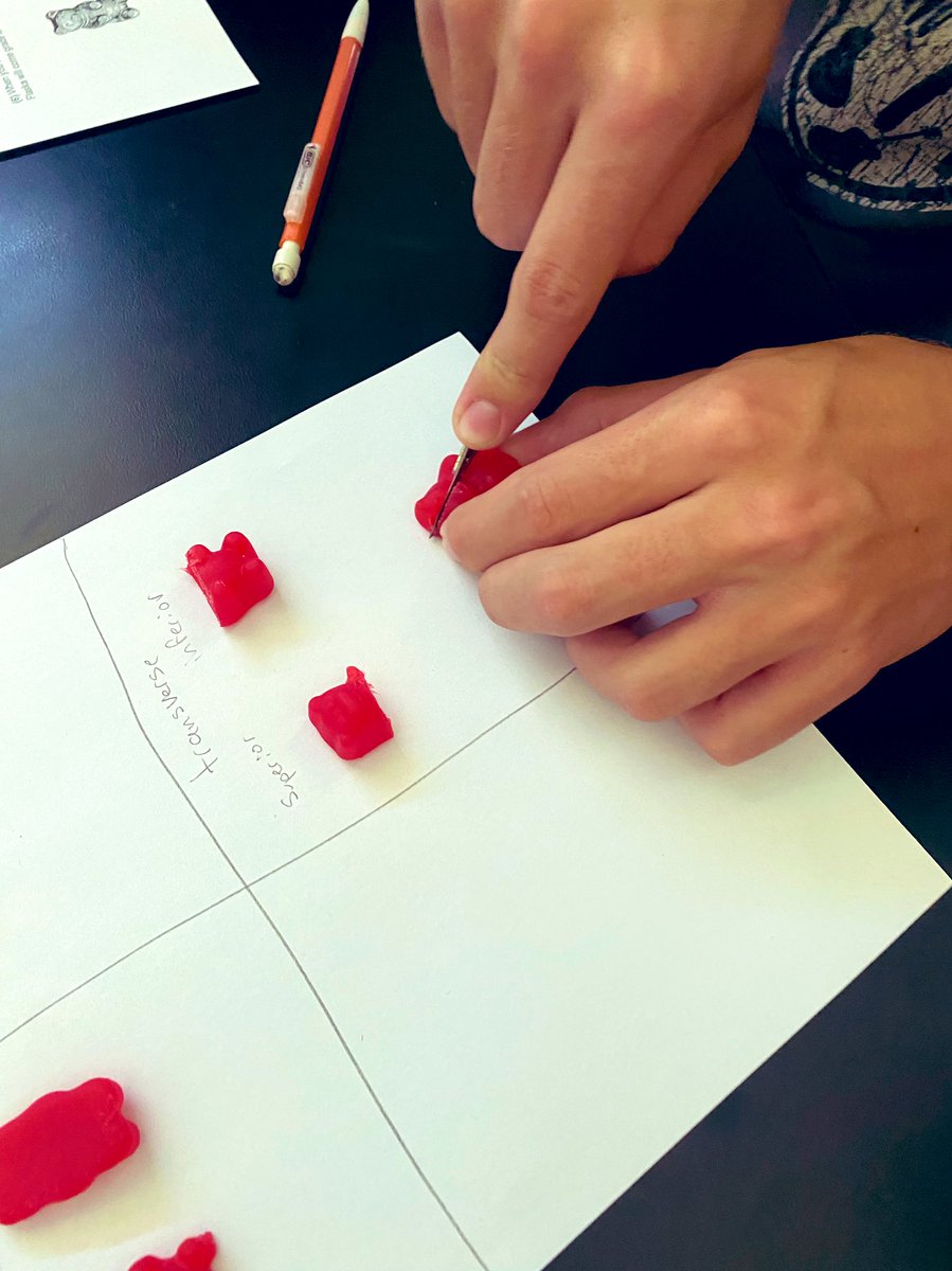 MrsAshlockCHS's tweet photo. Anatomy students in #room205 were identifying anatomical planes and directional terms using gummy 🐻’s @CHS_Indians https://t.co/tlTOKyzoFY