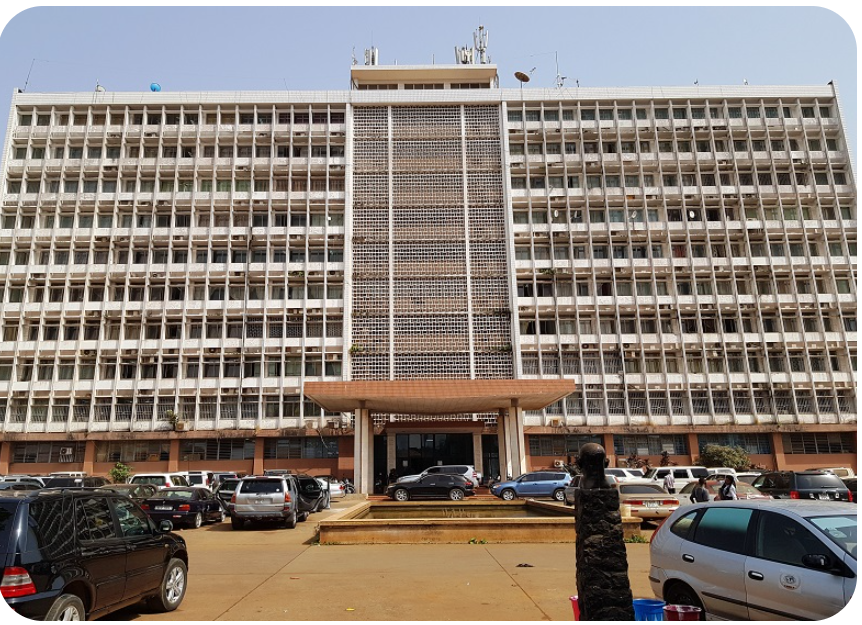 SLAJ Salone tweet media