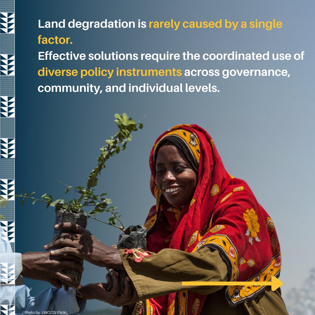 UNEP_Africa's tweet photo. ‘Africa is a land of abundance, rich in natural resources, biodiversity, cultural heritage &amp; known for her resilience. It is our duty to exploit our capabilities &amp; safeguard these treasures for future generations. Africa must take bold &amp; decisive actions.’  @RoseMwebaza #AMCEN https://t.co/RbrBeCdGBc