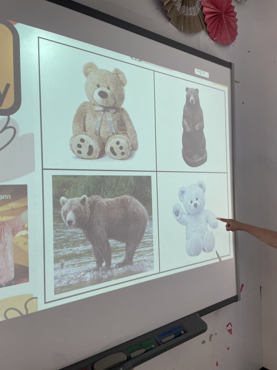 Why not start day 2 with a which one doesn’t belong! These bears were analyzed right now to their paws ❤️🐻🧸 <a href="/acms_nanuit/">ACMS Nanuit</a>