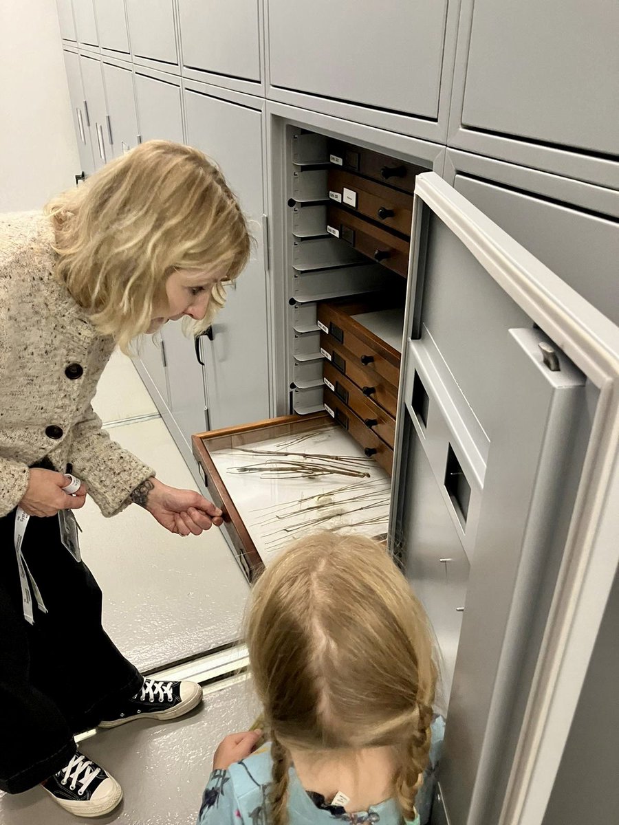 Beulah Garner tweet media