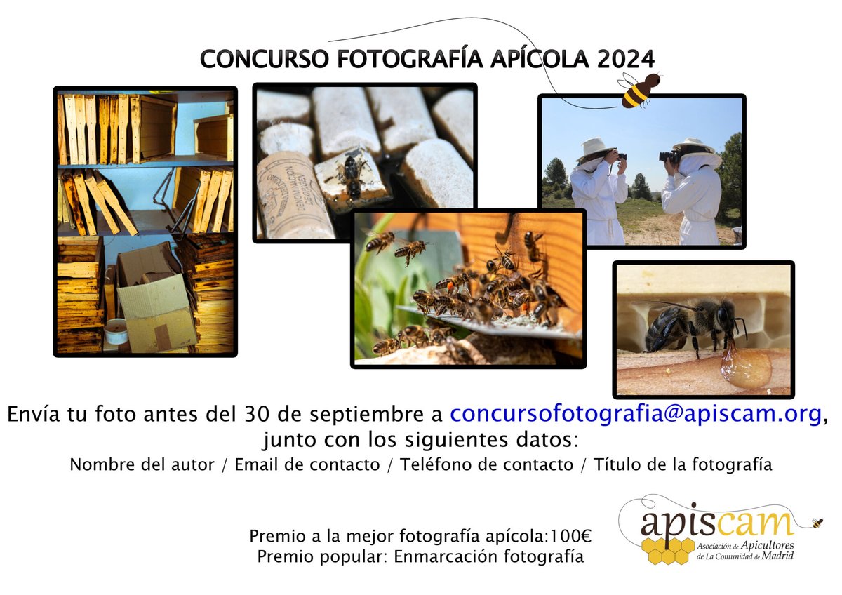 Concurso de fotografia apícola de Apiscam 2024

Participa hasta el 30 de septiembre 
Tienes las bases en apiscam.org/concurso-de-fo…

#apiscam #apicultores #mielesdemadrid #miel #fotografia