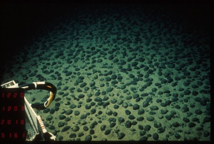 Pickaxe_Master's tweet photo. Did you know the ocean floor hides vast fields of polymetallic nodules, packed with valuable metals like nickel and copper? These nodules could be the future of mining, unlocking resources from the deep sea! ππ
#OceanMining #DeepSeaTreasure #PickaxeMaster #Geology https://t.co/5DSCt5S5pz