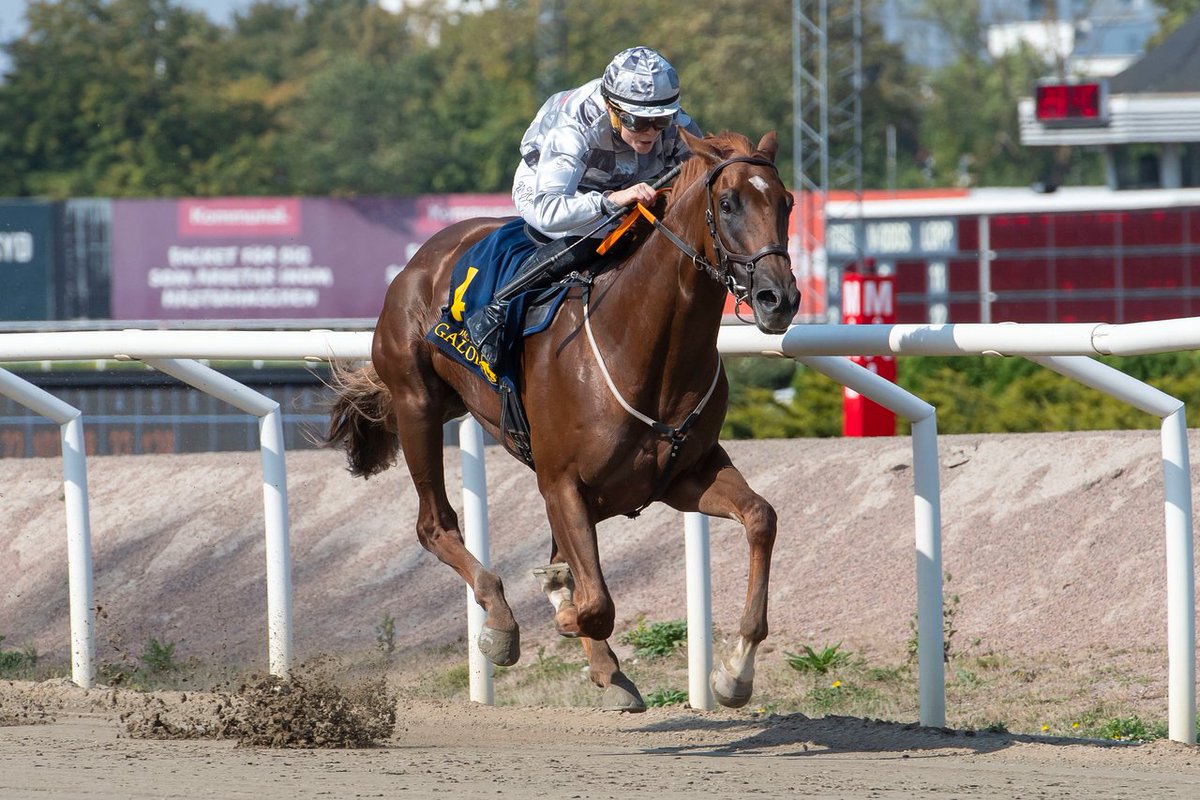 Swedish Horseracing (@swehorseracing) on Twitter photo 🏇 Images from Jägersro Galopp (4th September 2024) are available here:
svenskgalopp.smugmug.com/Tvlingsdagar/J…
📷 <a href="/galoppbilder/">Stefan Olsson</a>
#swedishracing #horseracing 🏇 Images from Jägersro Galopp (4th September 2024) are available here:
svenskgalopp.smugmug.com/Tvlingsdagar/J…
📷 <a href="/galoppbilder/">Stefan Olsson</a>
#swedishracing #horseracing