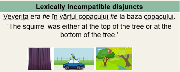 Adina Camelia Bleotu tweet media