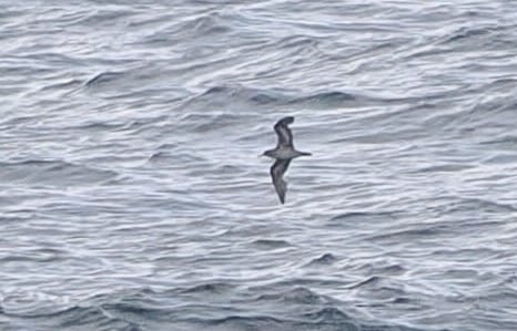 Paul French tweet media