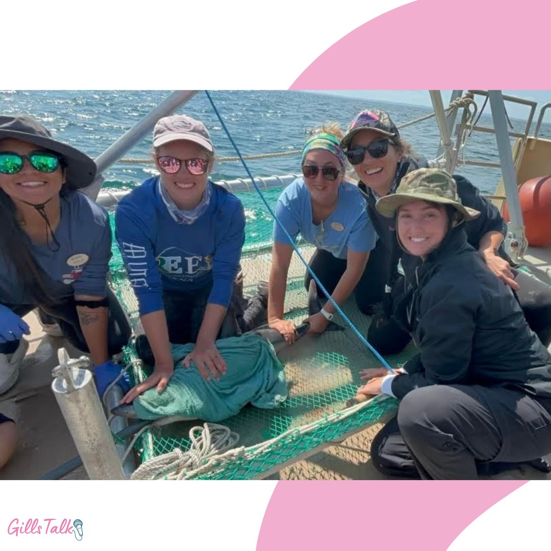 Gills Club (@gillsclub) on Twitter photo A Gills Club Scholar reunion!
(Left to right): Grace Solevilla-Moreno (GCS 23), <a href="/Maggiew27/">Maggie Winchester</a> (GC Scientist), Rachel Lewis (GCS 22), <a href="/HeatherMPhD/">Heather Marshall (she/her)</a> (GC Co-Founder), and Taylor Albert (GCS 24), are pictured after performing a work-up on a juvenile Shortfin Mako at @shoalsmarinelab! A Gills Club Scholar reunion!
(Left to right): Grace Solevilla-Moreno (GCS 23), <a href="/Maggiew27/">Maggie Winchester</a> (GC Scientist), Rachel Lewis (GCS 22), <a href="/HeatherMPhD/">Heather Marshall (she/her)</a> (GC Co-Founder), and Taylor Albert (GCS 24), are pictured after performing a work-up on a juvenile Shortfin Mako at @shoalsmarinelab!