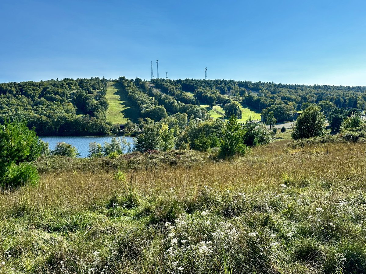 thepatmorgan's tweet image. the artist formerly known as the #contentfactory 🦅 #gvng