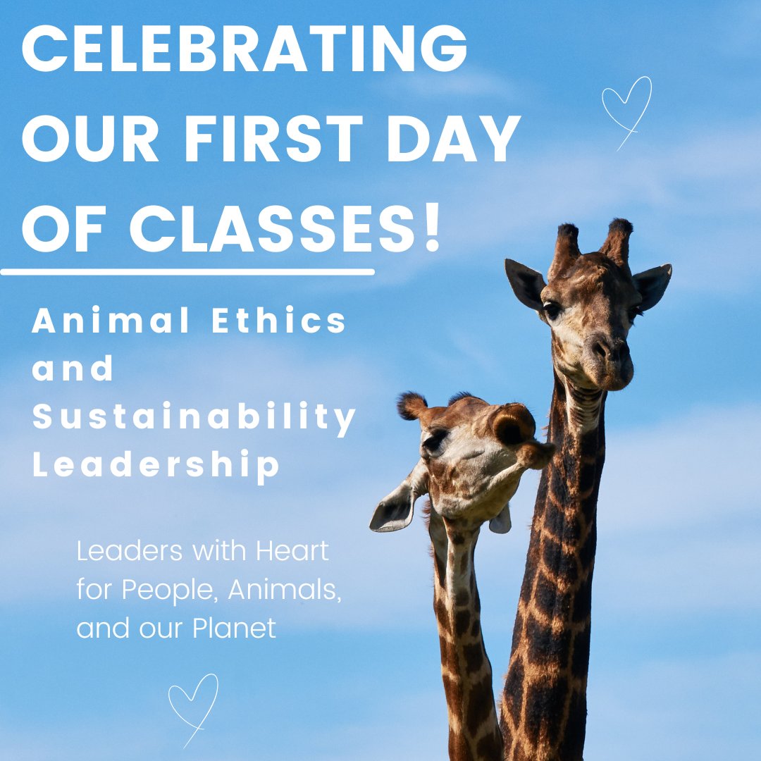 I dreamed of a degree like this when I was in university. Today, it's my  honour to officially launch the world's first major in Animal Ethics and  Sustainability Leadership.