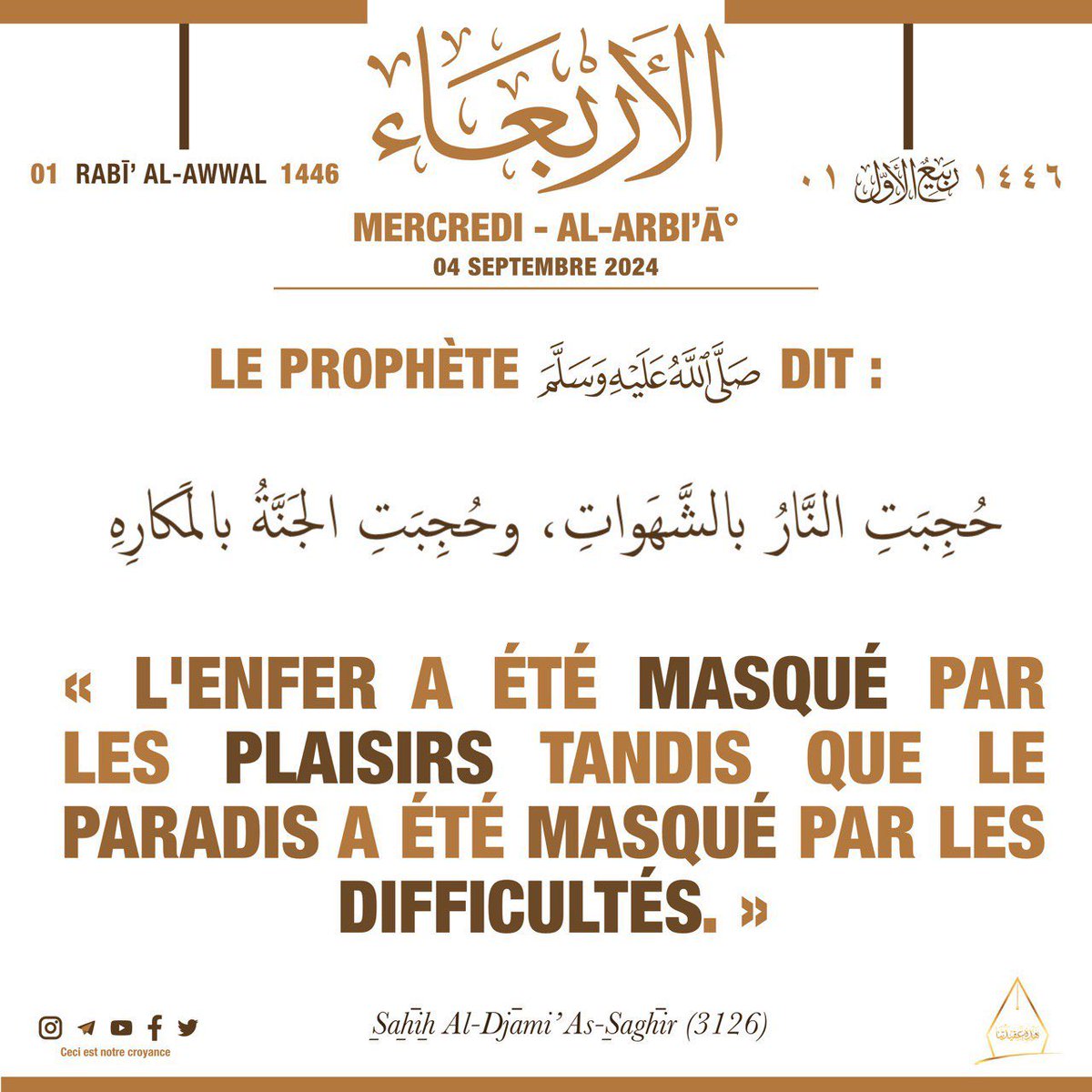 إنه لا ينطق عن الهوى 💫