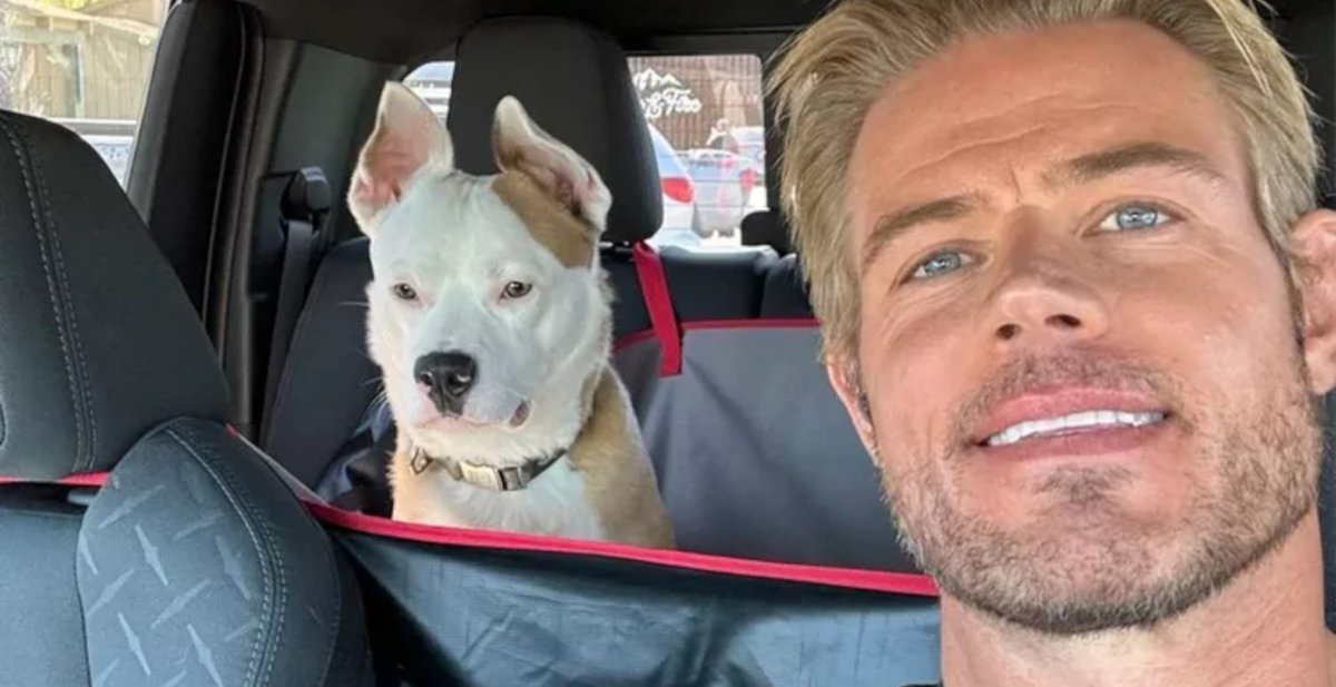 Actor Trevor Donovan Describes Terrifying Ordeal After Dog Eats A Pack Of Sealed Gum dlvr.it/TCt6nk