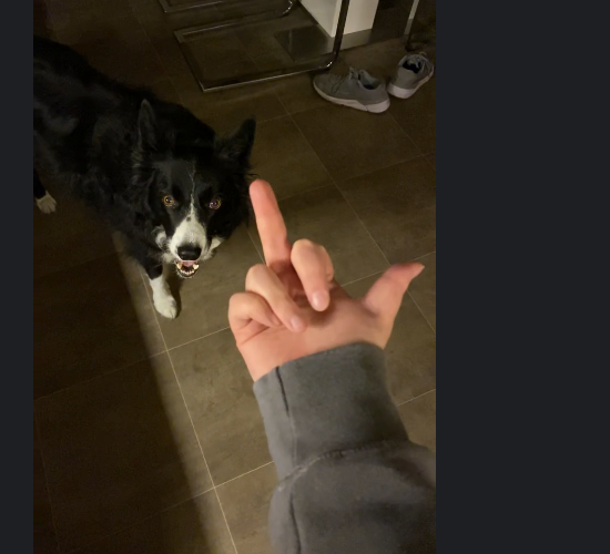 UltimatePredz tweet picture