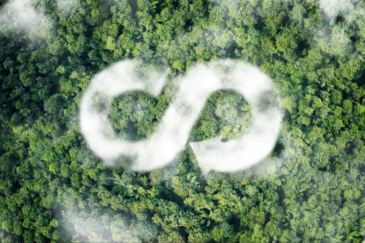 Nick Rojas tweet media