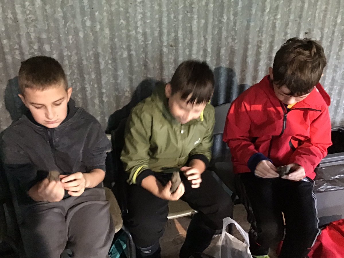 Huish Episcopi Primary School tweet media