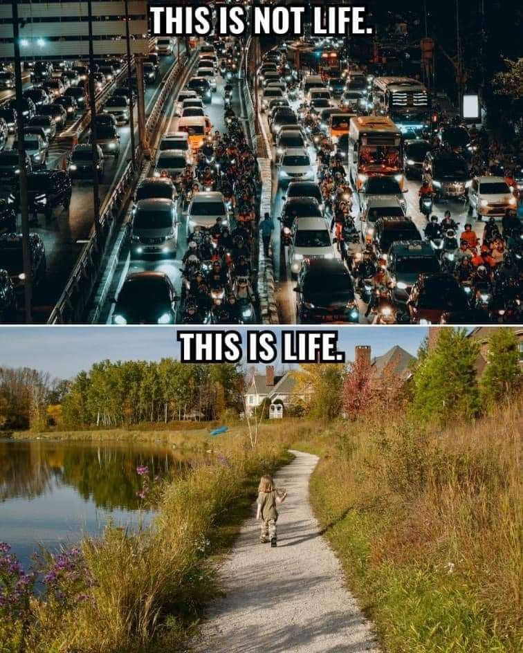 DavidWolfe's tweet image. 