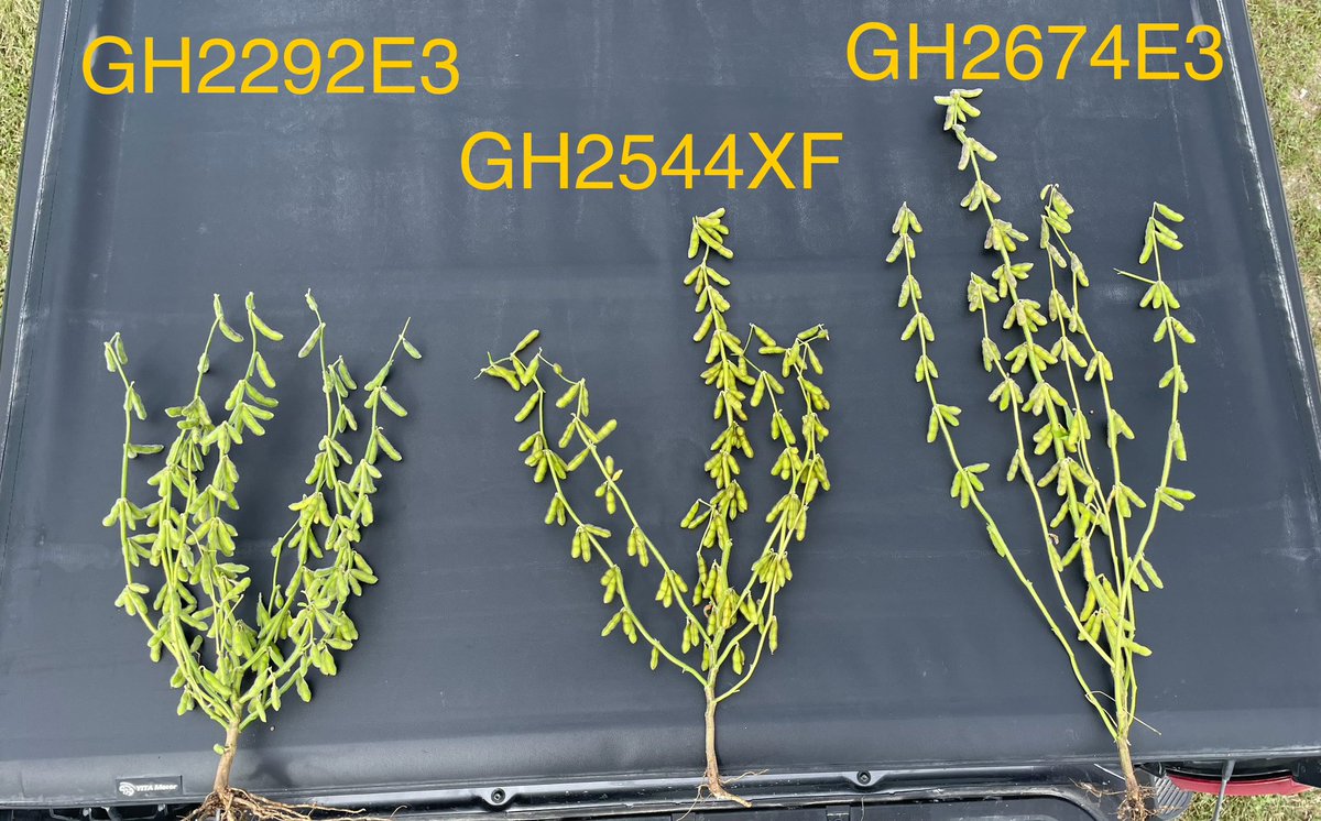 Andrew Rupe tweet media