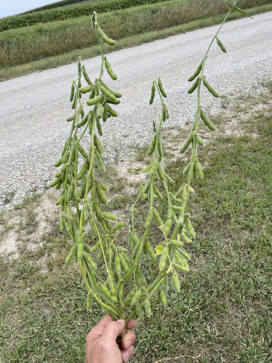 Andrew Rupe tweet media