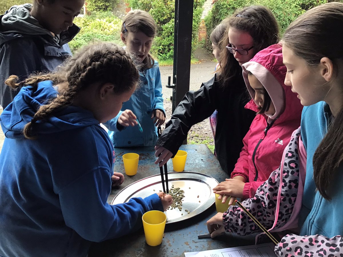 Huish Episcopi Primary School tweet media